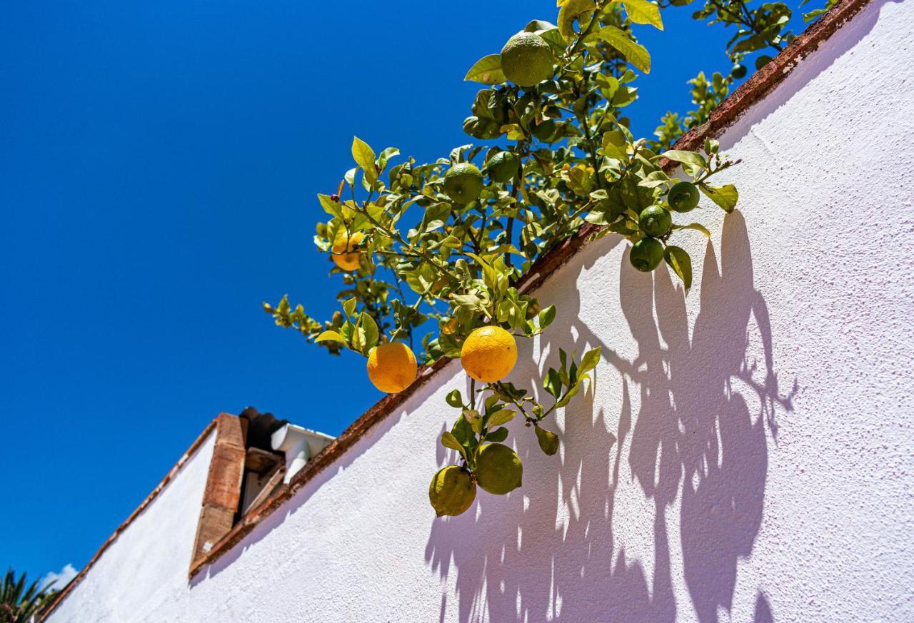 Villa Yanna Benalmádena Esterno foto